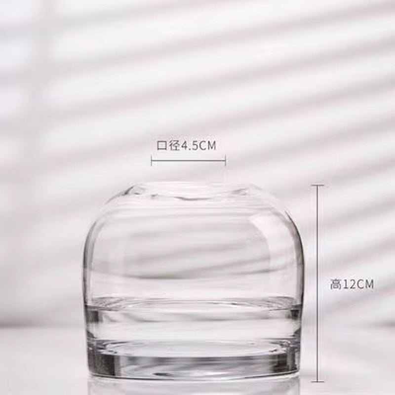 European Style Simple Vase Creative INS Glass Flower Living Room Dining Table Flower Vase Crafts