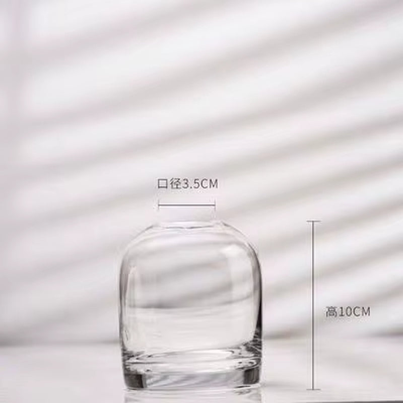 European Style Simple Vase Creative INS Glass Flower Living Room Dining Table Flower Vase Crafts