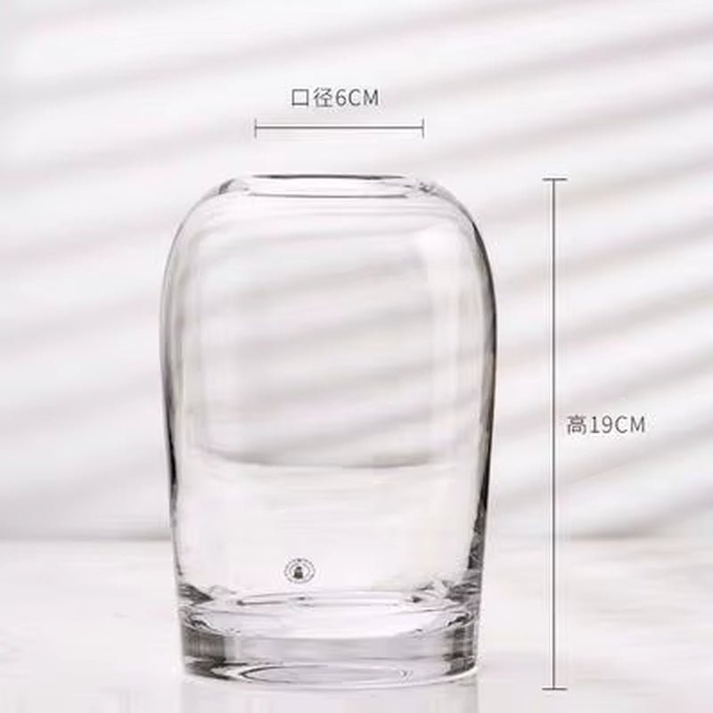 European Style Simple Vase Creative INS Glass Flower Living Room Dining Table Flower Vase Crafts